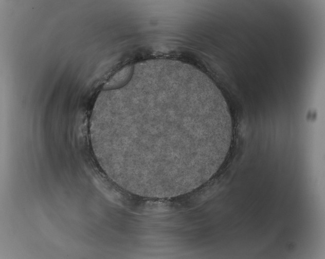 X0000110710914200907101240