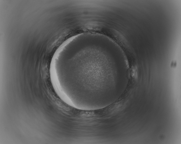 X0000110710915200907101240