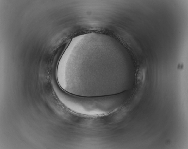 X0000110710916200907101240