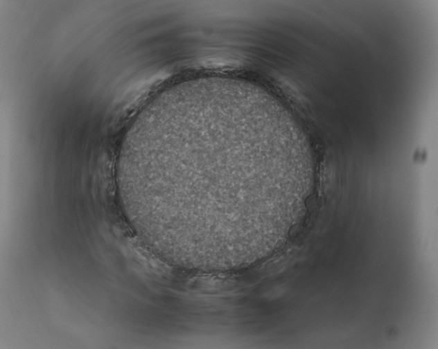 X0000110710917200907101240