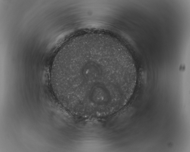 X0000110710918200907101240