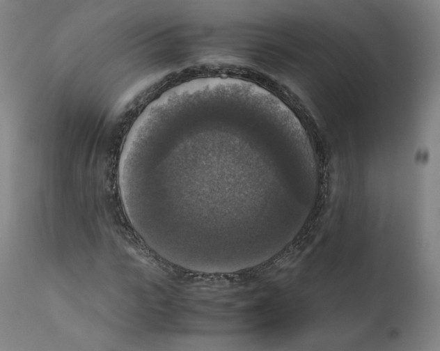 X0000110710919200907101240