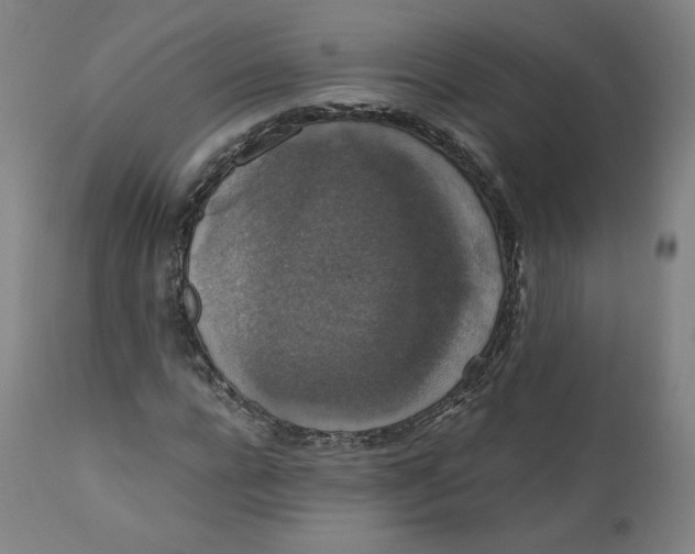 X0000110710920200907101240