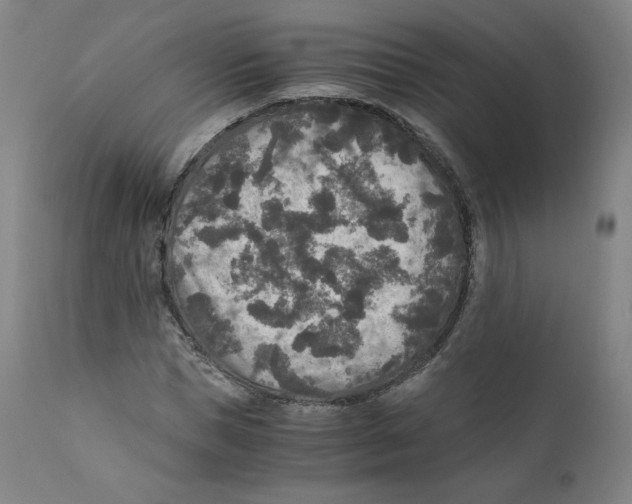 X0000110710921200907101240