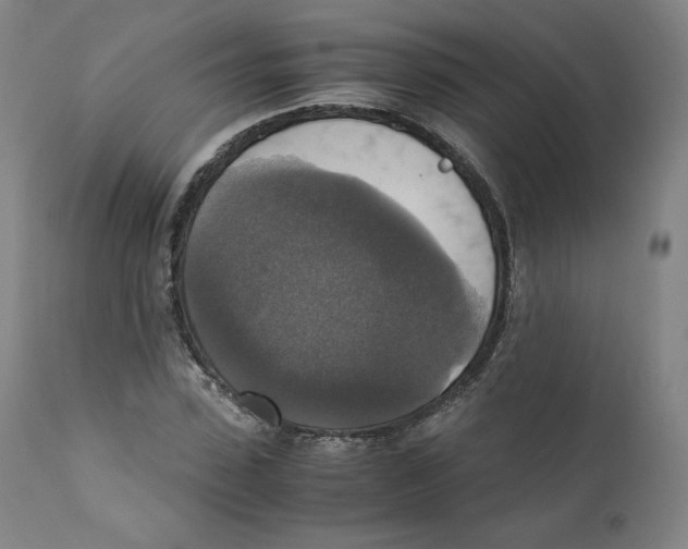 X0000110710923200907101240