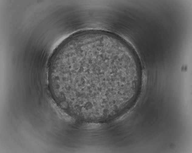 X0000110710925200907101240