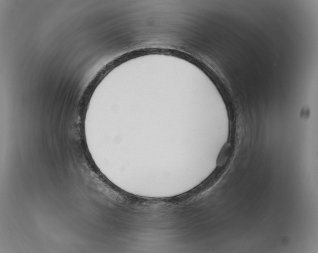 X0000110710926200907101240