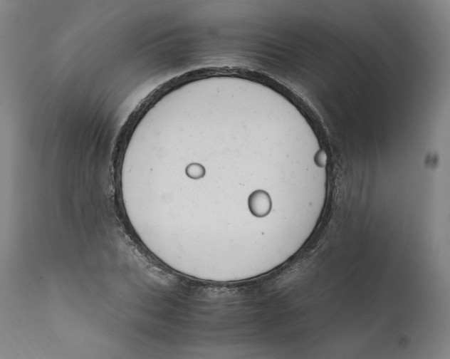 X0000110710927200907101240