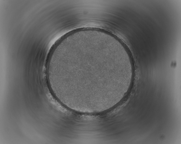 X0000110710928200907101240