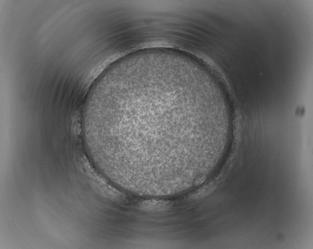 X0000110710929200907101241