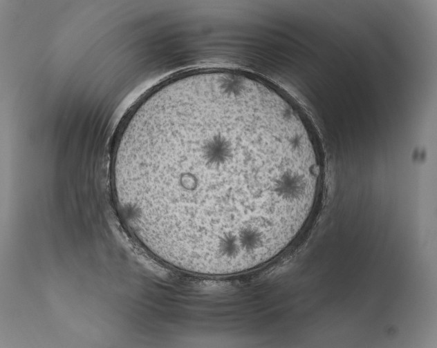X0000110710933200907101241