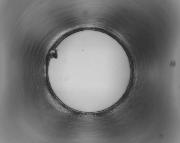 X0000110710934200907101241