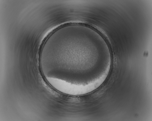 X0000110710935200907101241