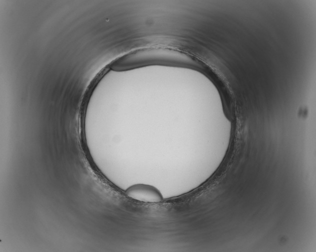 X0000110710936200907101241