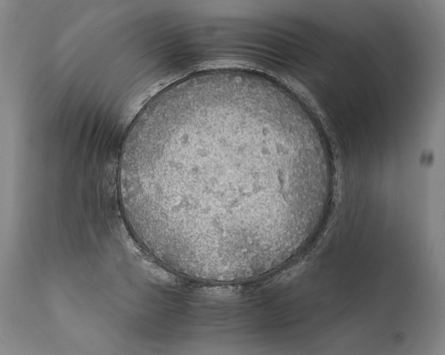 X0000110710937200907101241