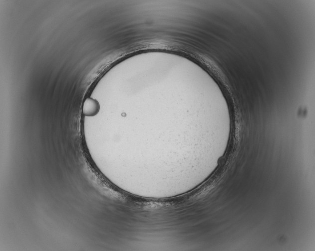 X0000110710938200907101241