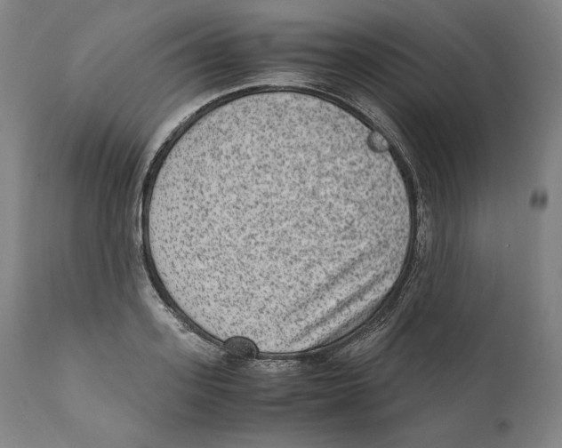 X0000110710939200907101241