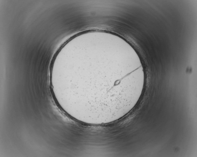 X0000110710940200907101241