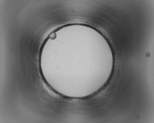 X0000110710942200907101241
