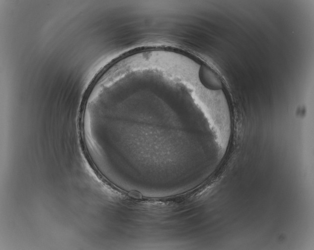 X0000110710943200907101241