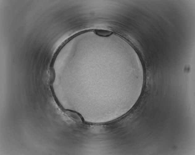 X0000110710944200907101241