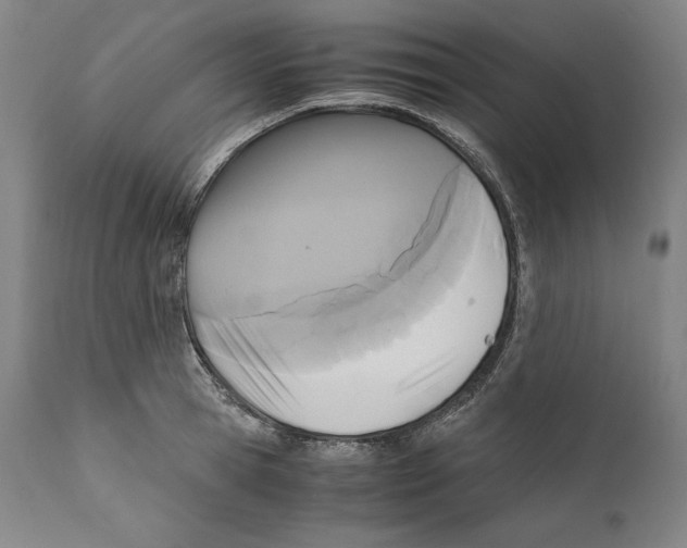 X0000110710945200907101241