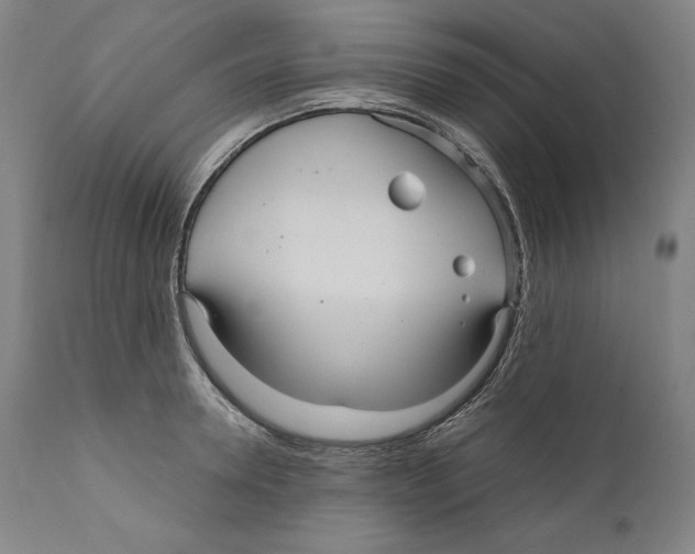 X0000110710946200907101241