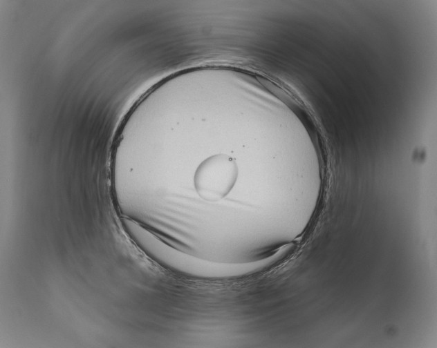 X0000110710948200907101241