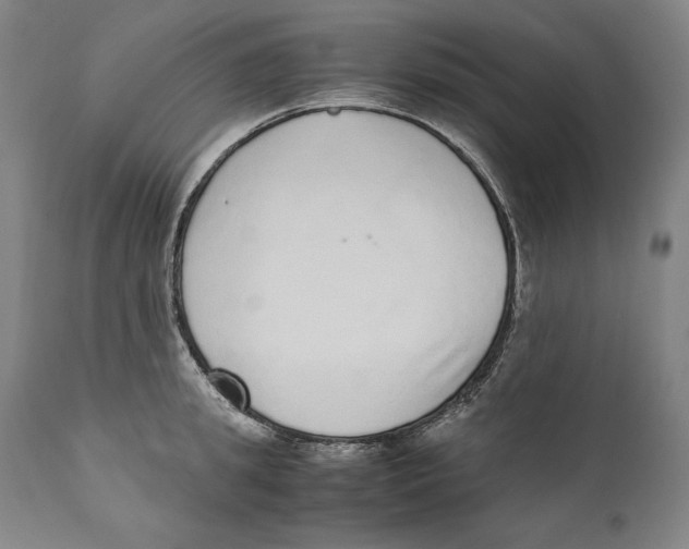 X0000110710949200907101241