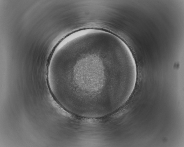 X0000110710950200907101241