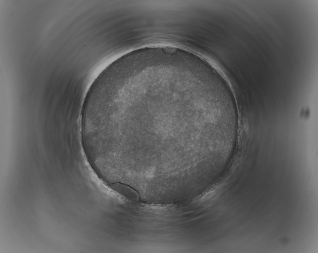 X0000110710951200907101241