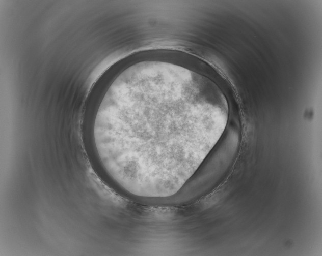 X0000110710952200907101241
