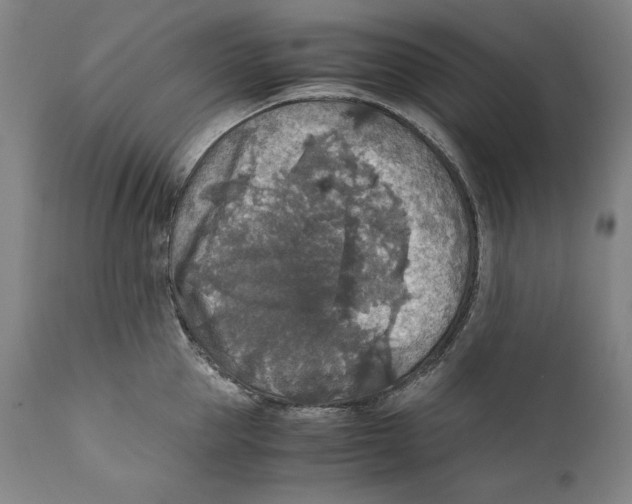 X0000110710953200907101241