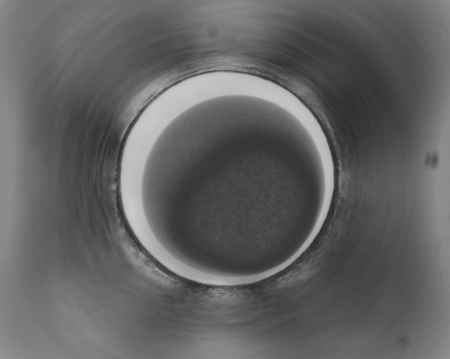 X0000110710954200907101241