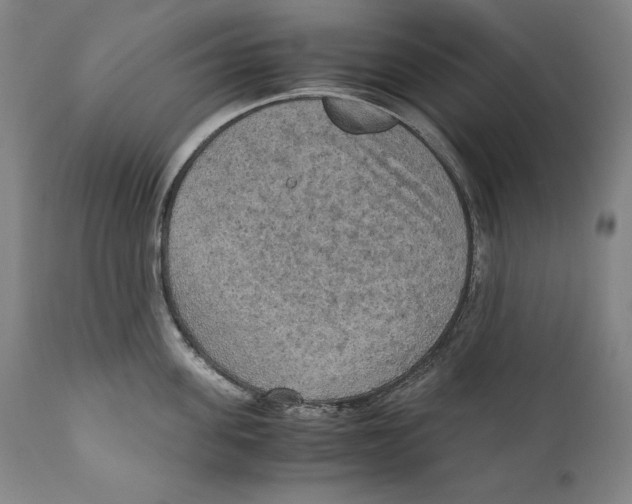 X0000110710955200907101241