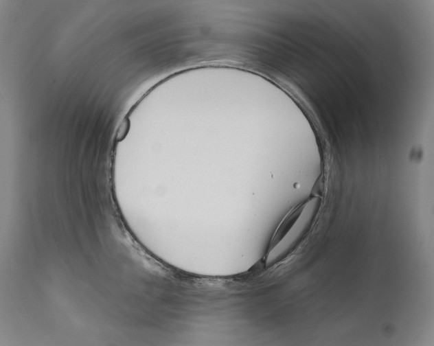 X0000110710956200907101241