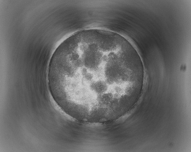 X0000110710957200907101241