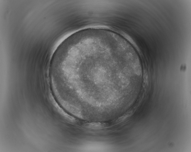X0000110710959200907101241