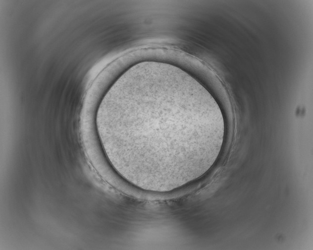 X0000110710960200907101241