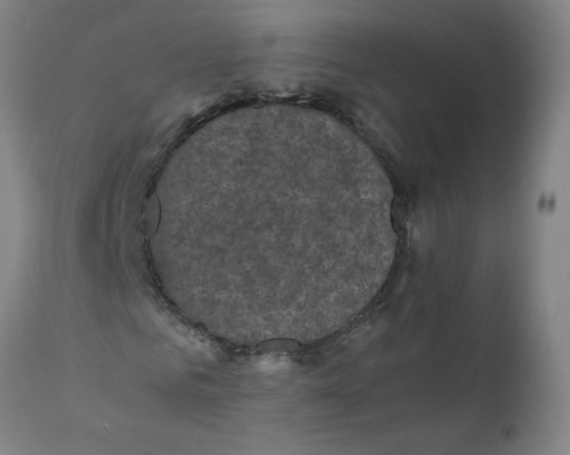 X0000110710961200907101240