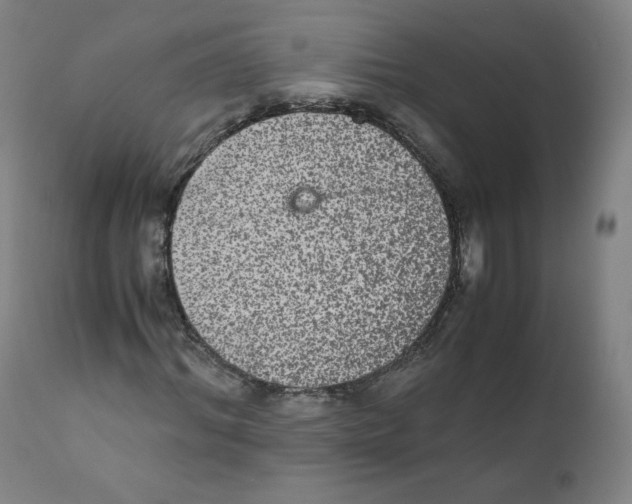 X0000110710964200907101240