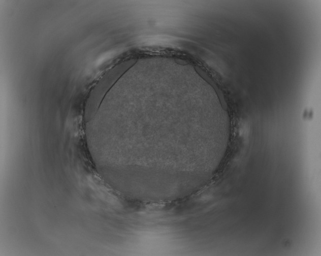 X0000110710965200907101240