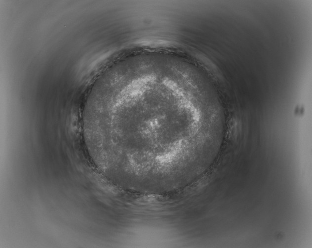 X0000110710966200907101240