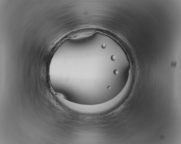 X0000110710969200907101240