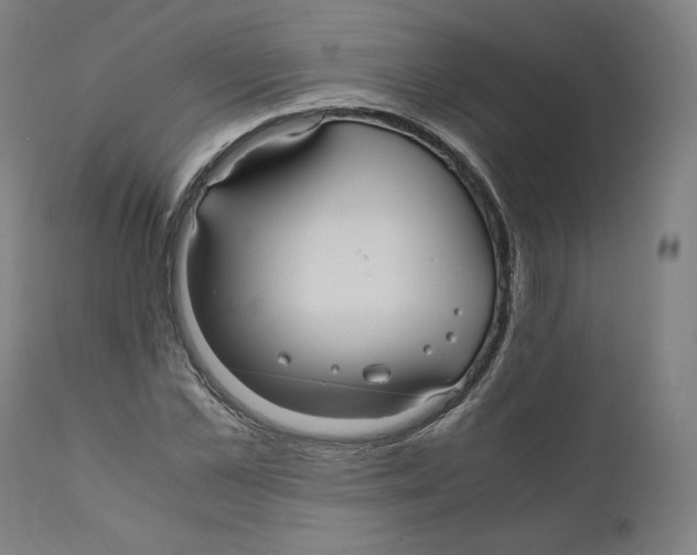 X0000110710973200907101240