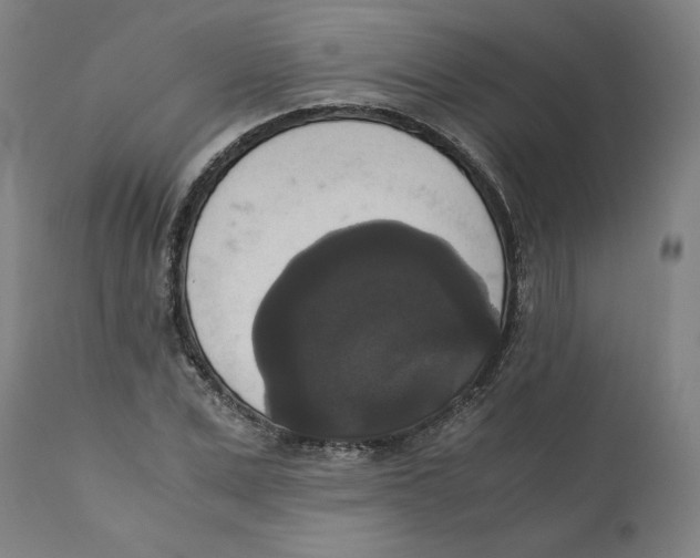 X0000110710975200907101240