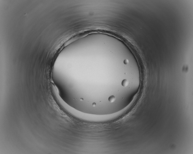 X0000110710977200907101240