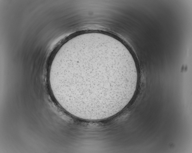 X0000110710979200907101240