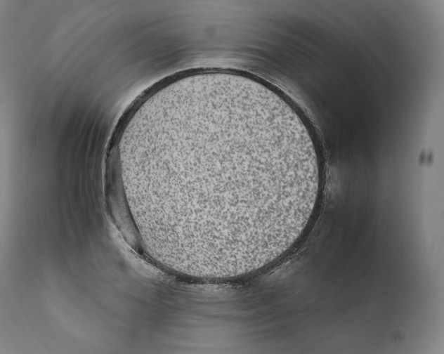 X0000110710980200907101240