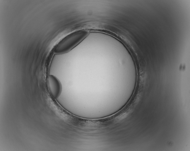 X0000110710981200907101240